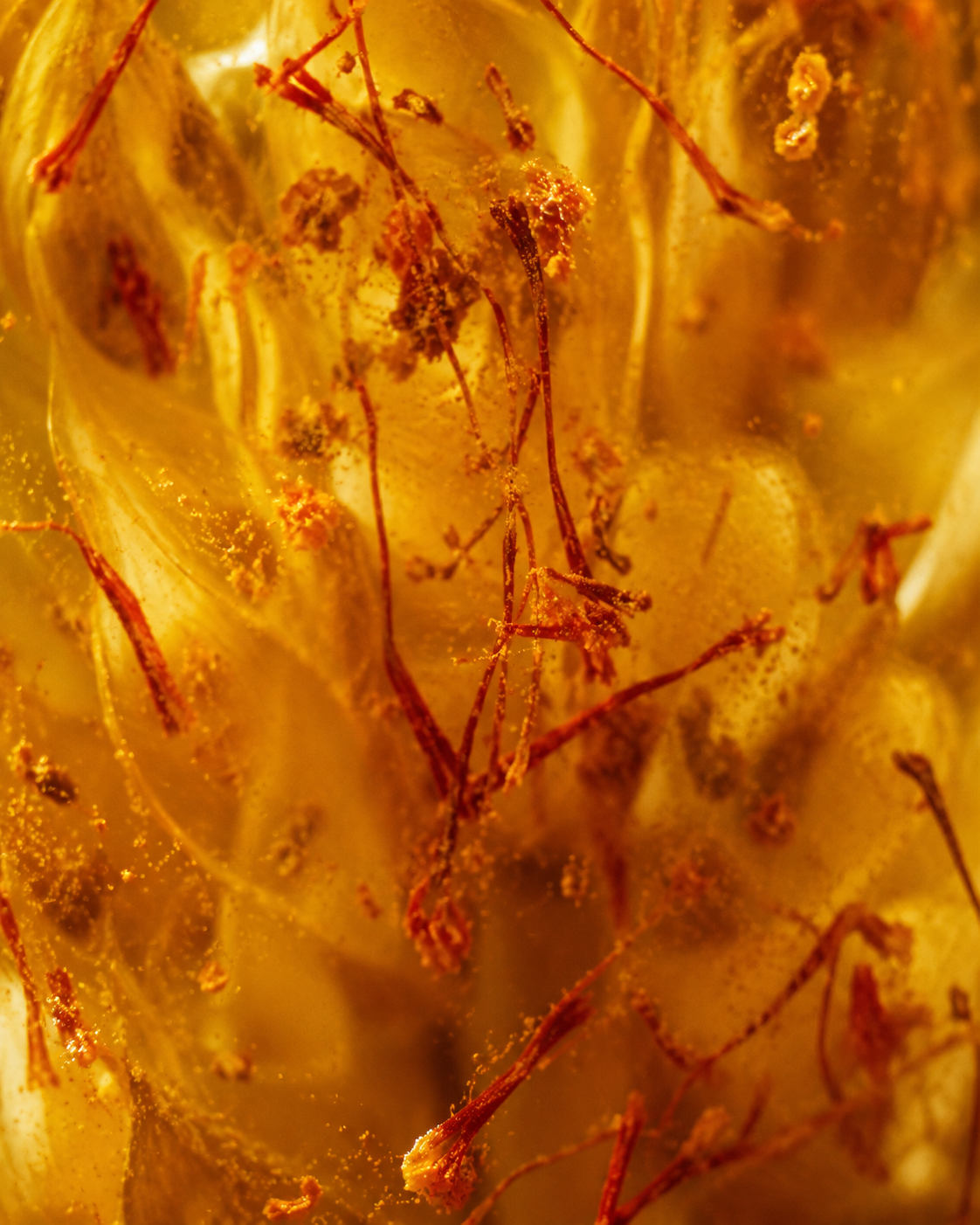 Saffron: The Golden Spice Supporting Mood, Calm & Hormonal Wellbeing