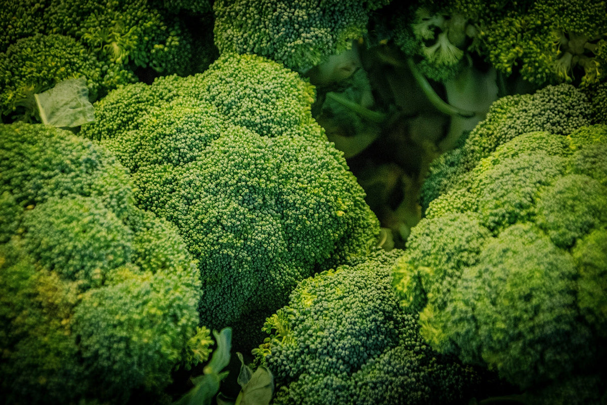 The Power of Broccoli Sprout Seed Powder: A Potent Hormone Detoxifier ...